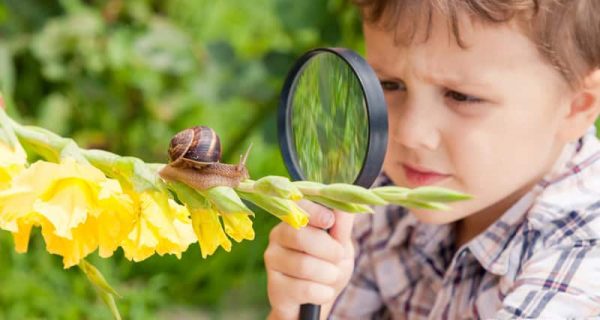 happy-little-boy-playing-in-the-park-with-snail-P35W269.jpg